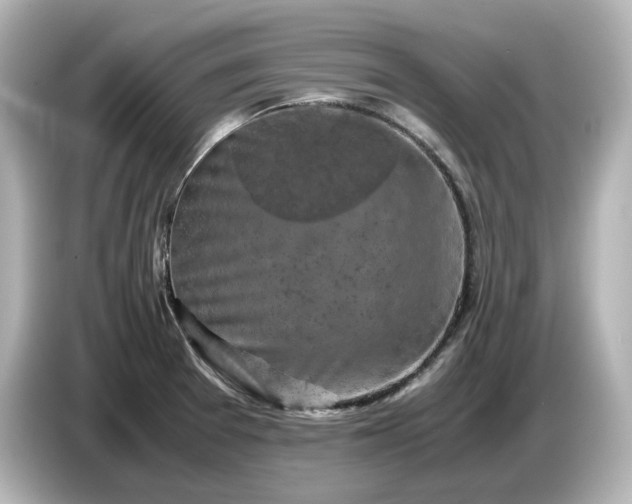 X0000087011377200704301409
