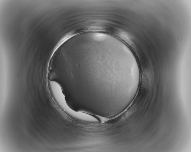 X0000087011378200704301409