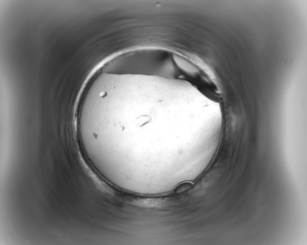 X0000087011380200704301409