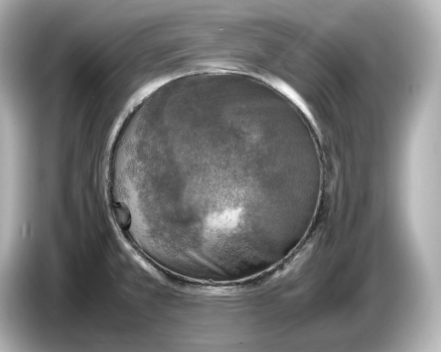 X0000087011381200704301409