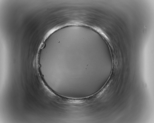 X0000087011382200704301409