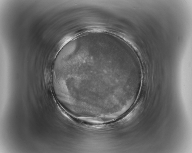 X0000087011385200704301409