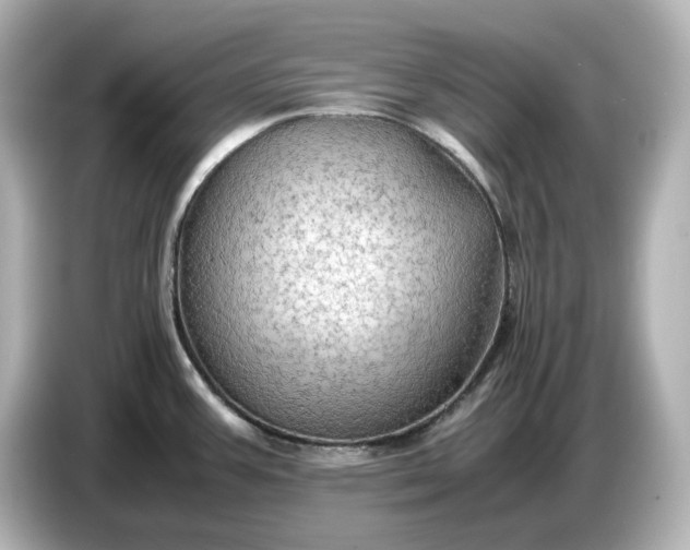 X0000087011387200704301409