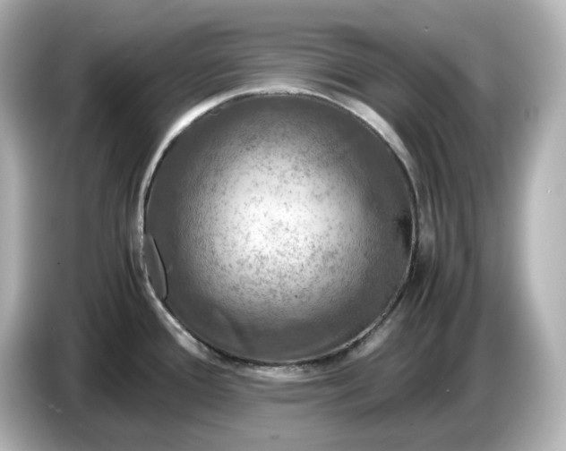 X0000087011388200704301409