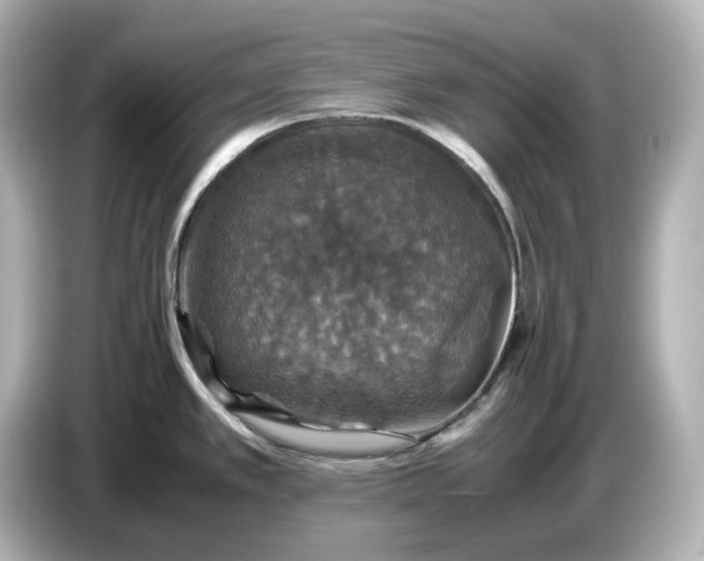 X0000087011389200704301409