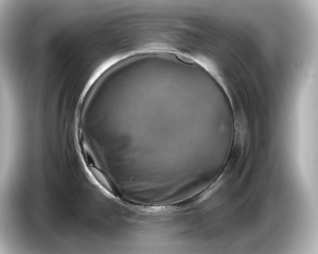 X0000087011390200704301409