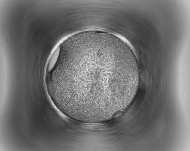 X0000087011391200704301409