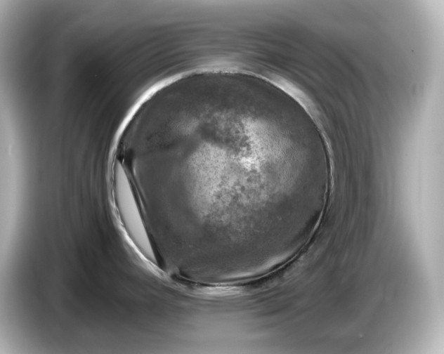 X0000087011392200704301409