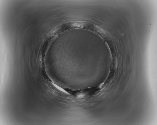X0000087011394200704301408