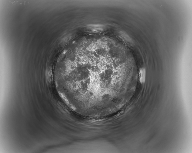 X0000087011395200704301408