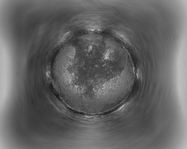 X0000087011396200704301408