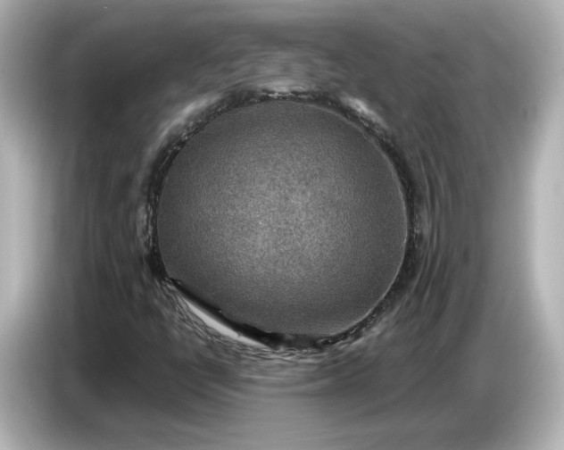 X0000087011398200704301408