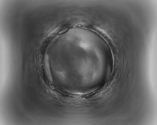 X0000087011399200704301408