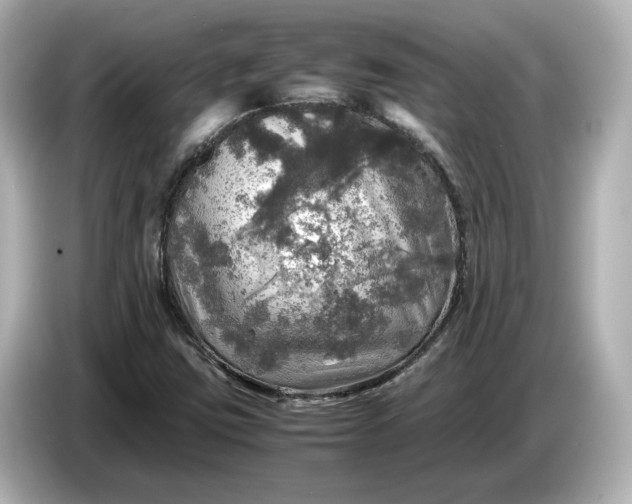 X0000087011403200704301408