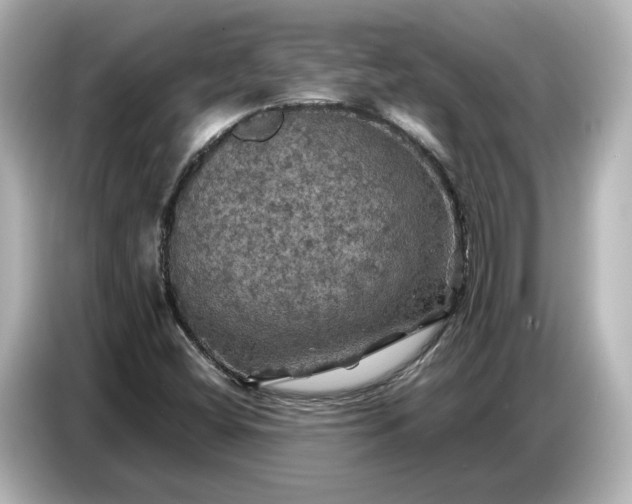 X0000087011404200704301408