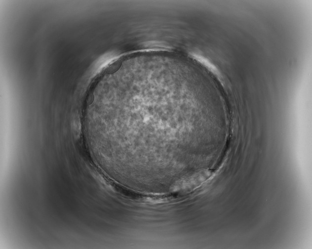 X0000087011407200704301408
