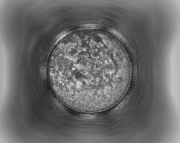 X0000087011409200704301408