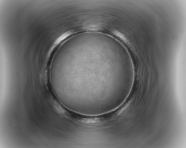 X0000087011410200704301408