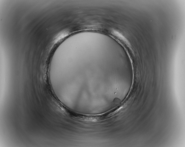 X0000087011411200704301408