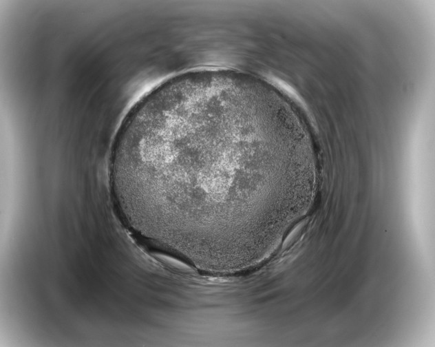 X0000087011412200704301408