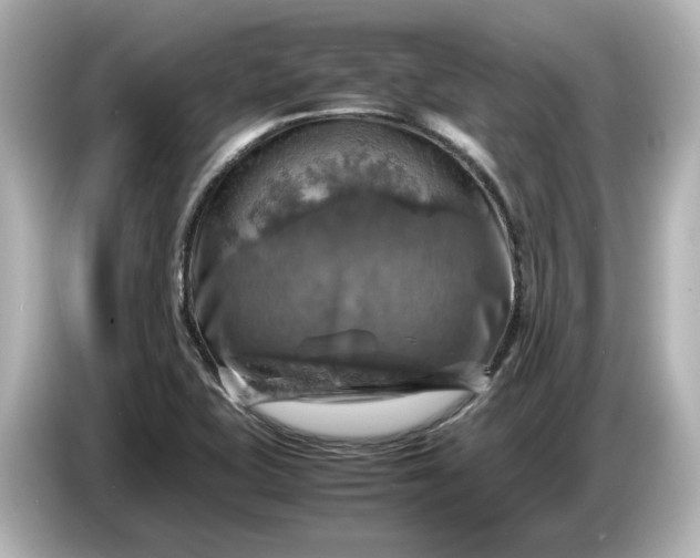 X0000087011415200704301408