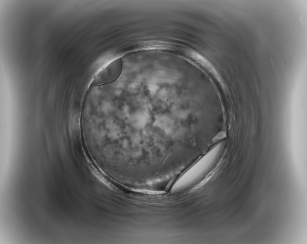 X0000087011417200704301408