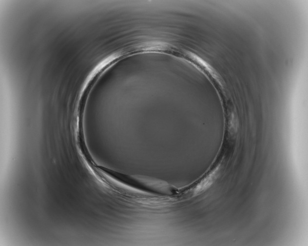 X0000087011418200704301408