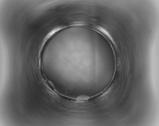 X0000087011419200704301408
