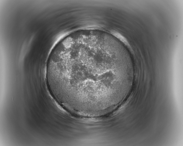 X0000087011420200704301409