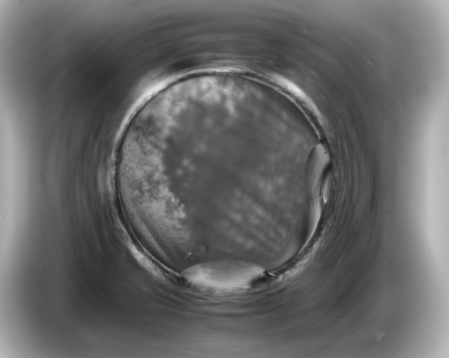 X0000087011421200704301409