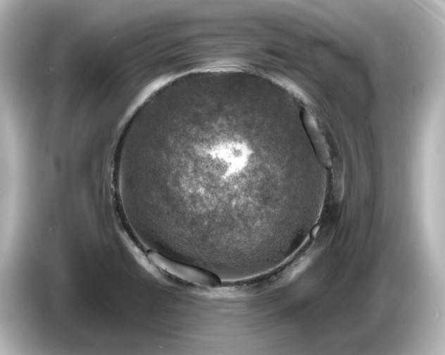 X0000087011422200704301409