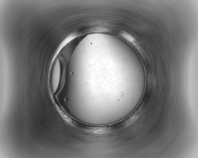 X0000087011426200704301409