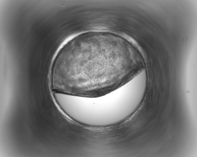 X0000087011432200704301409
