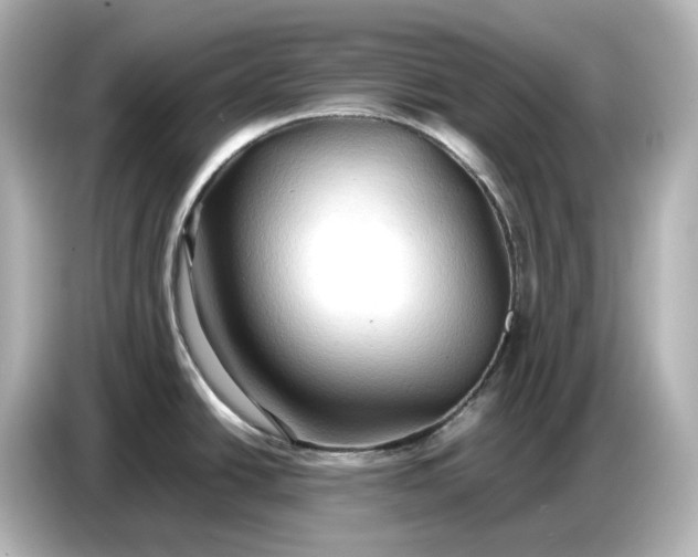 X0000087011438200704301409
