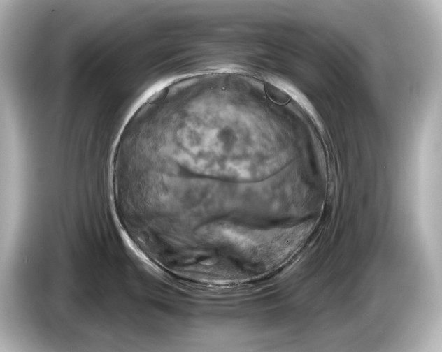 X0000087011439200704301409