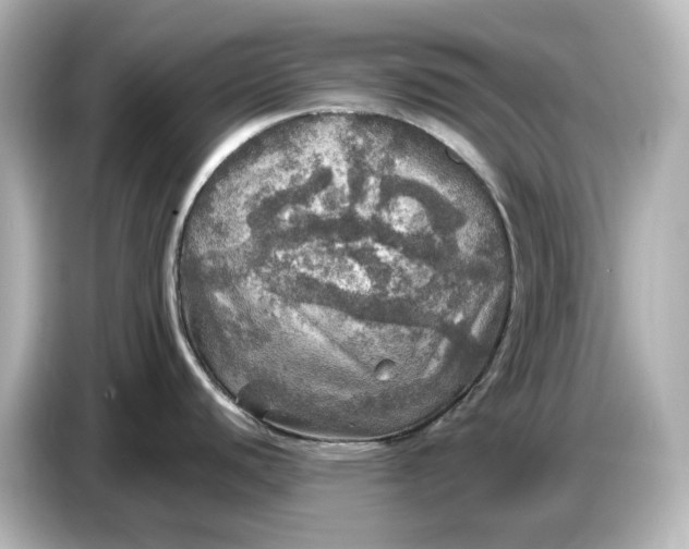 X0000087011440200704301409