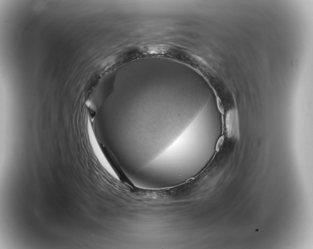 X0000087011443200704301408