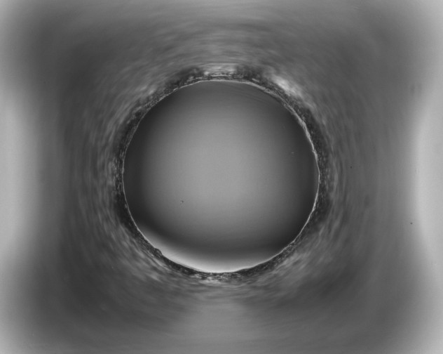 X0000087011445200704301408