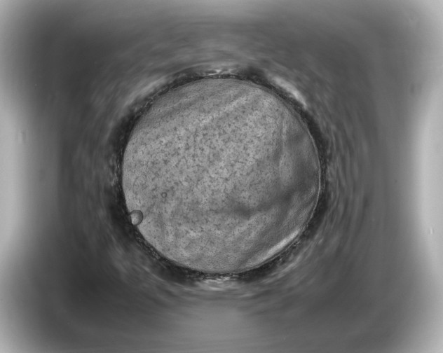 X0000087011447200704301408