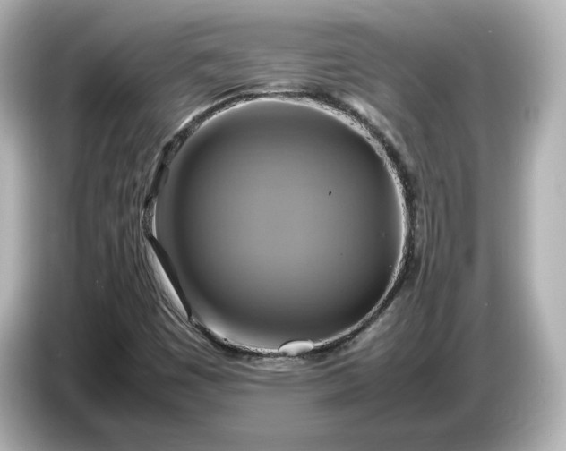 X0000087011449200704301408