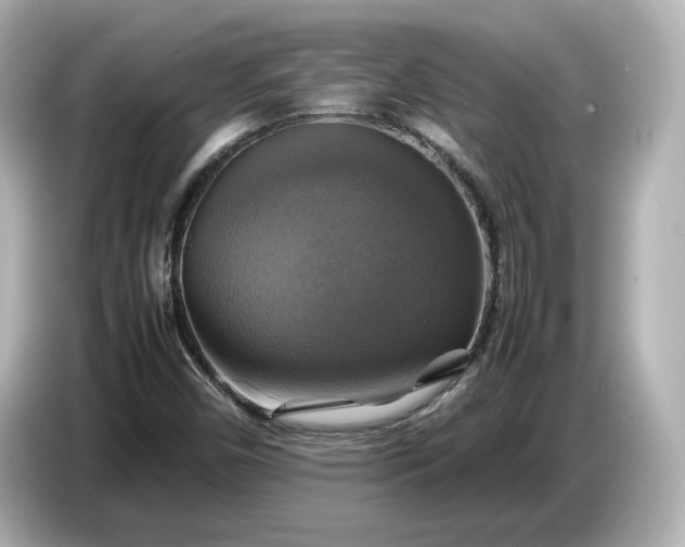 X0000087011450200704301408