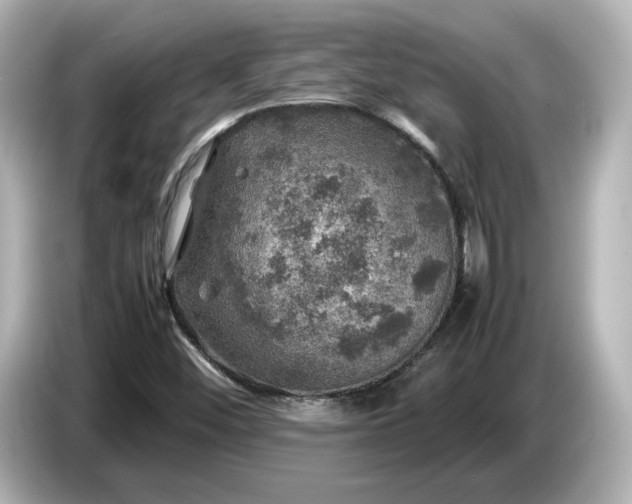 X0000087011452200704301408