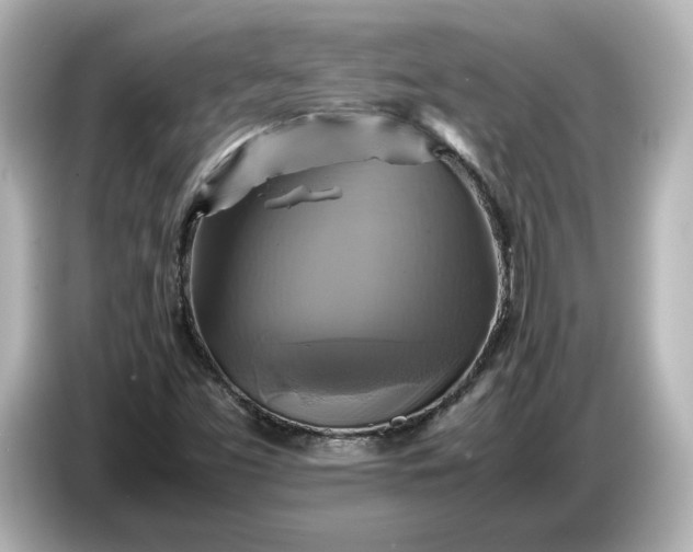 X0000087011453200704301408
