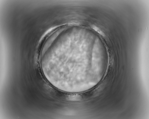 X0000087011454200704301408