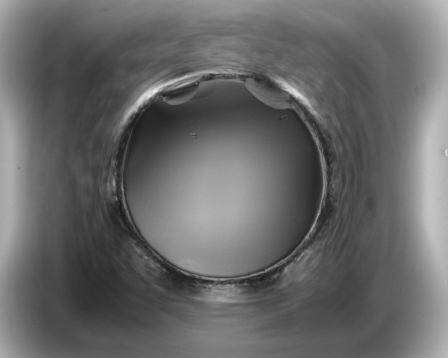 X0000087011455200704301408