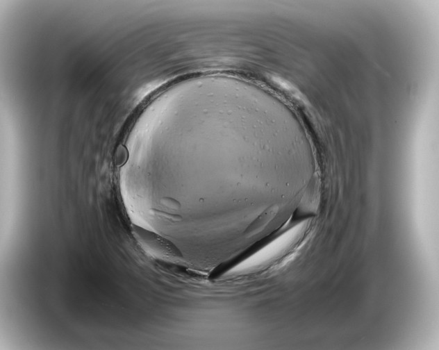 X0000087011457200704301408
