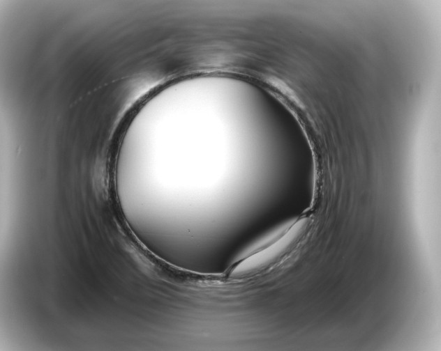 X0000087011458200704301408