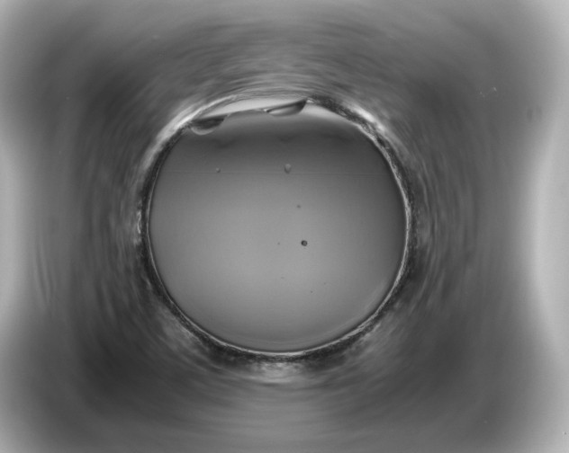X0000087011459200704301408