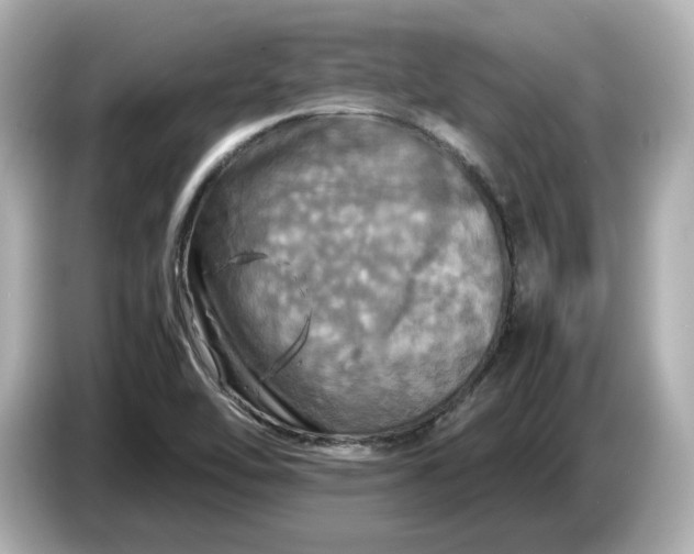 X0000087011462200704301408