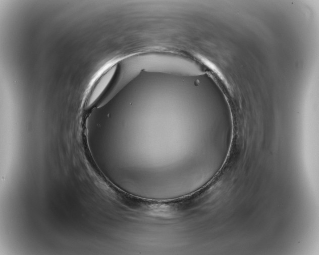 X0000087011463200704301408